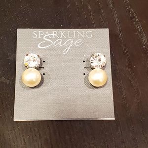 Sparkling Sage Earrings